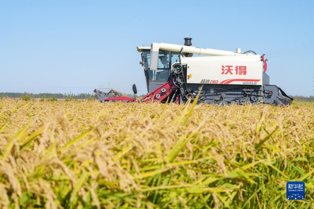 人民币炸金花